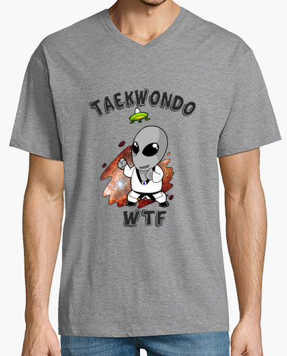 Camiseta taekwondo gris...