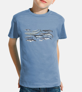Camisetas niño niña Ballenas, yubartas y rorcuales
