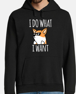 cane corgi mi do w hat voglio