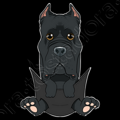cane corso puppy in pocket i cute cane