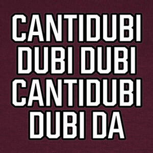 Camisetas Cantidubi