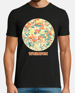 carte de wheaton illinois en couleurs m
