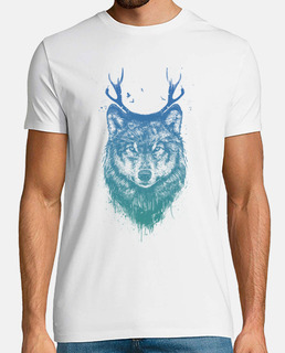 cerfs de loups colorés