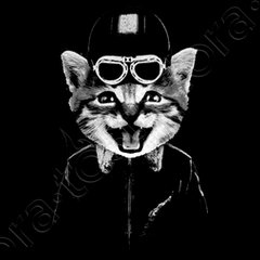 Tee Shirt Chat Motard Tostadora Tee Shirt Chat Motard Tostadora