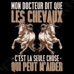 Sweat chevaux humour idee cadeau cheval