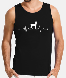 chiens de berger blanc suisse blanc sui