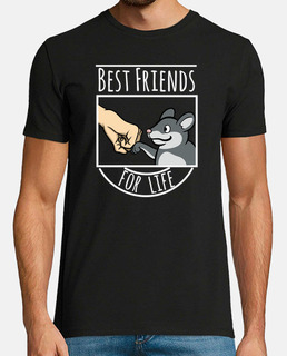 chinchilla best friends pour la vie