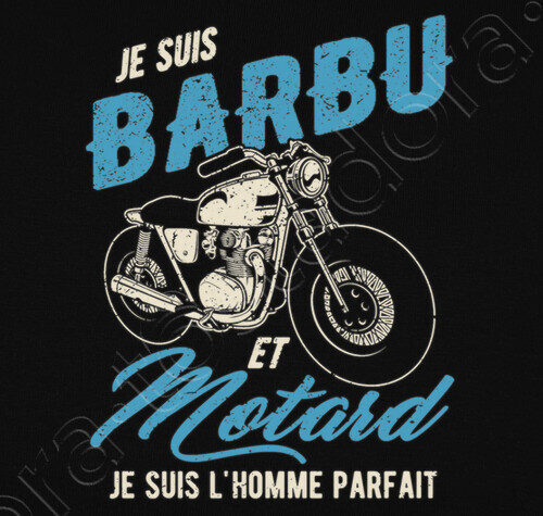 Tee Shirt Citation Barbu Et Motard Tostadora