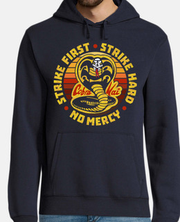 cobra kai strike first strike hard no m