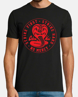Cobra Kai V Strike Hard