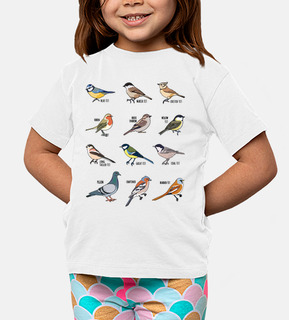 colección de aves silvestres observació