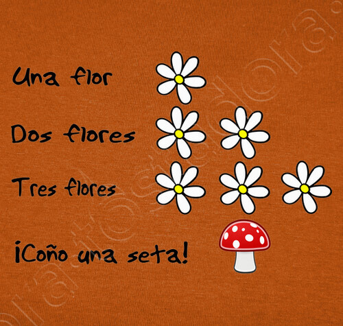tostadora fica t shirt fica una fungo 124100 tostadora it tostadora fica t shirt fica una fungo 124100 tostadora it