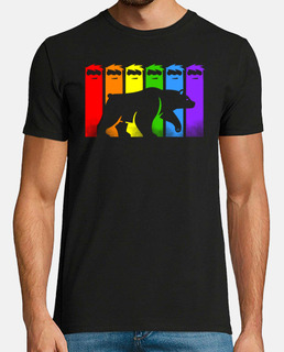 couleurs ours