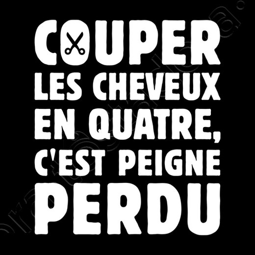 couper_les_cheveux_en_4_c_est_peigne_p--i:141385124218514138520;d:1242185;w:520;b:000000;m:1 autorité dans Communauté spirituelle