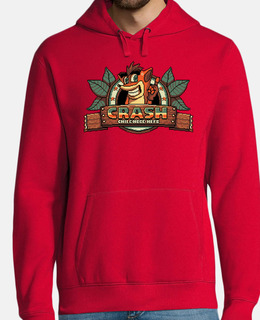 Crash the bandicoot
