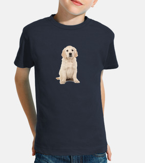 cucciolo di cane golden retriever