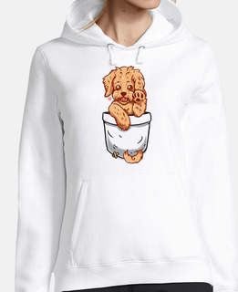 cucciolo di labradoodle tascabile