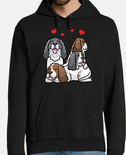 cuore di cane springer spaniel inglese