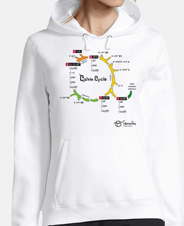 cycle Calvin (sfondi chiari)