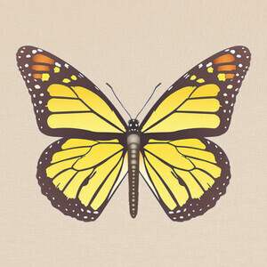Camisetas D02 monarch butterfly