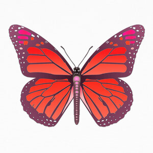Camisetas D28 Monarch Butterfly Red LajarinDream