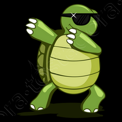 The Dancing Turtle 