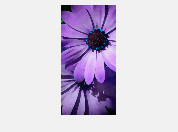 coque iphone xr daisy