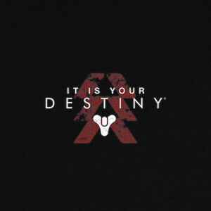 Camisetas Destiny: Hunter