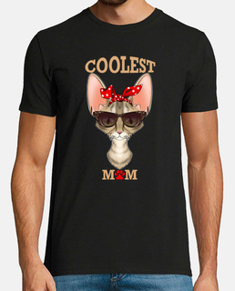 devon rex chat maman je cool est chat m