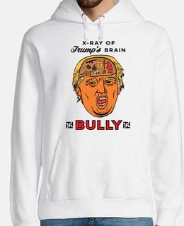 discarica Trump - bullo