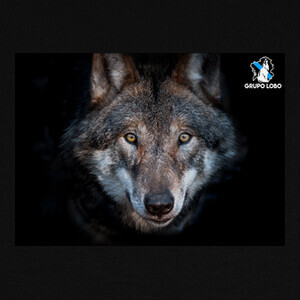 gray wolf design T-shirts