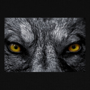 T-shirt disegno occhi di lupi