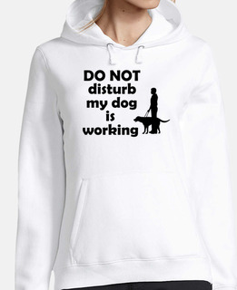 Do not disturb my dog is working