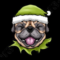 Dressed pug sale
