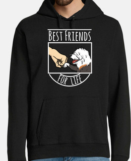 dog bob tail best friends for vita