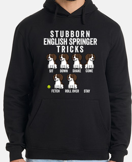 dog spring er s pan iel english stub bo