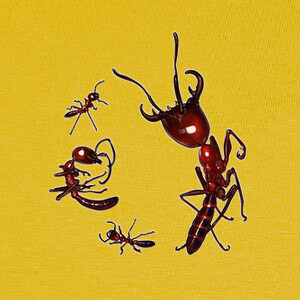 Camisetas Dorylus, hormigas legionarias 2