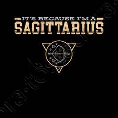 SAGITTARIO ZODIACO Quadro personalizzato