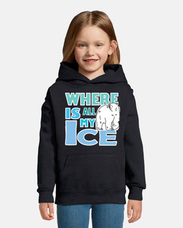 Earth Day Where is all my Ice 11