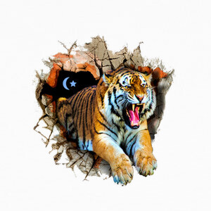 Camisetas El Tigre De Diseño