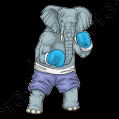 Camiseta elefante boxer guantes de boxeo boxeo. laTostadora