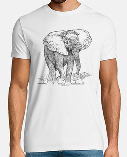 elefante africano sabana vida silvestre