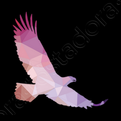 Elegant Flying Eagle Trippy Silhouette T-Shirt Elegant Flying Eagle Trippy Silhouette T-Shirt