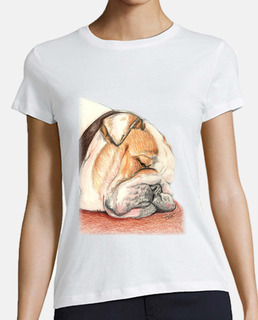 english bulldog alfie