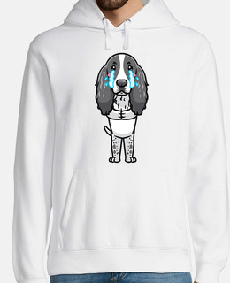 English Springer Spaniel Cane Triste Ch
