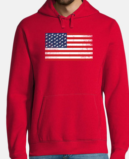 equitazione bandiera usa cavalli equest