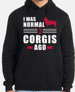 ero normale 3 galles corgi pembrokes fa