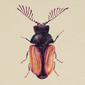 T-shirt scarafaggio insetto folletto entomologi