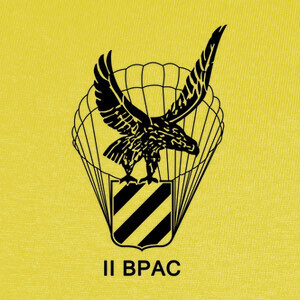 Camisetas Escudo Bripac. Bpac II. Roger de Lauria