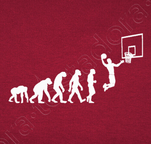 évolution dunk basket https://www.tostadora.fr/bibine/basket_evolution_2/2063422